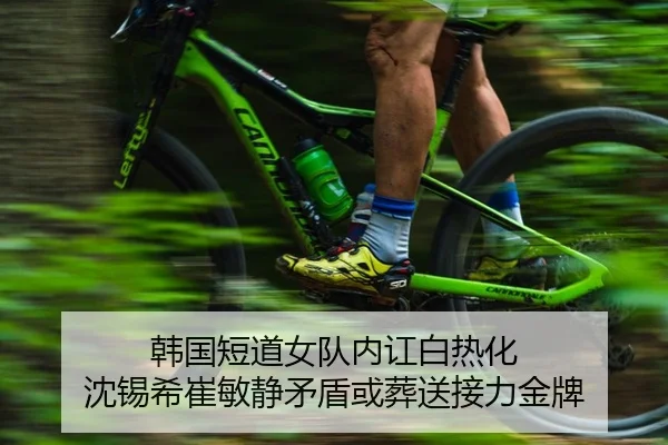韩国短道女队内讧白热化 沈锡希崔敏静矛盾或葬送接力金牌